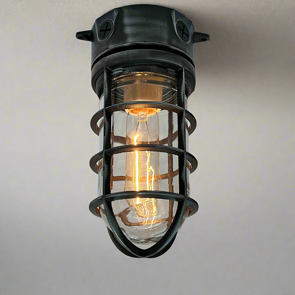Vapor-tight Industrial Cage Light Ceiling Mounted – MillerLights