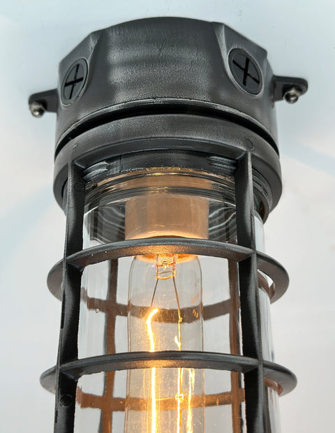 industrial cage light fixture