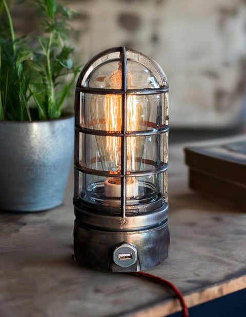 Industrial Edison Lamp - The Iron Cage
