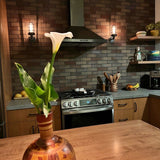 A pair of MillerLights 'The Ward' industrial single cage wall sconces installed facing upward on a dark brick accent wall, flanking a stainless steel kitchen range hood above a stove.
